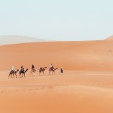 Image illustration